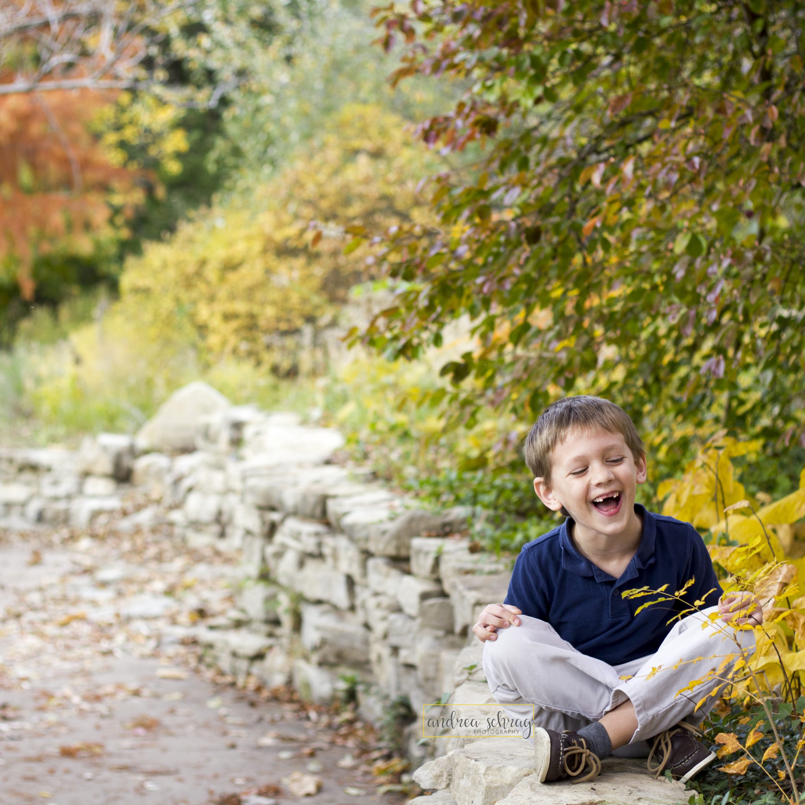 maximize your fall mini session