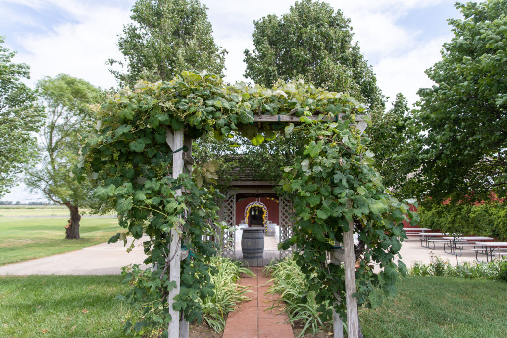 wyldewood cellar summer wedding