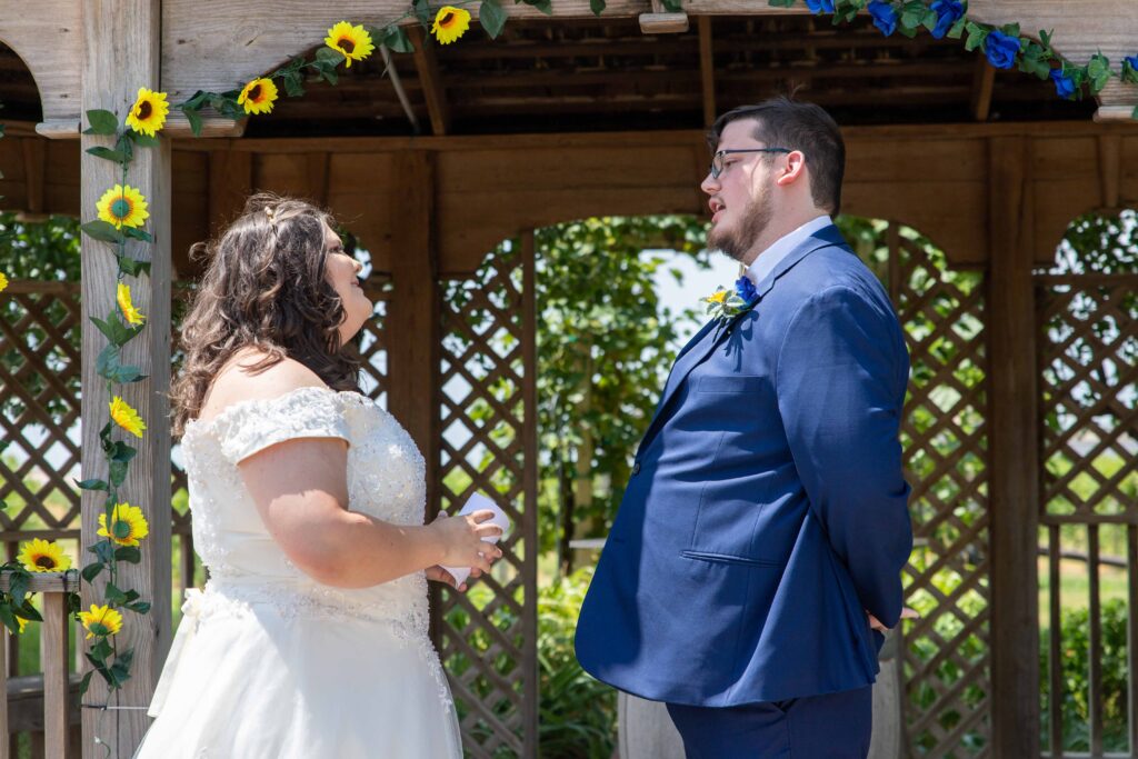 bride and groom in vineyard at summer wedding