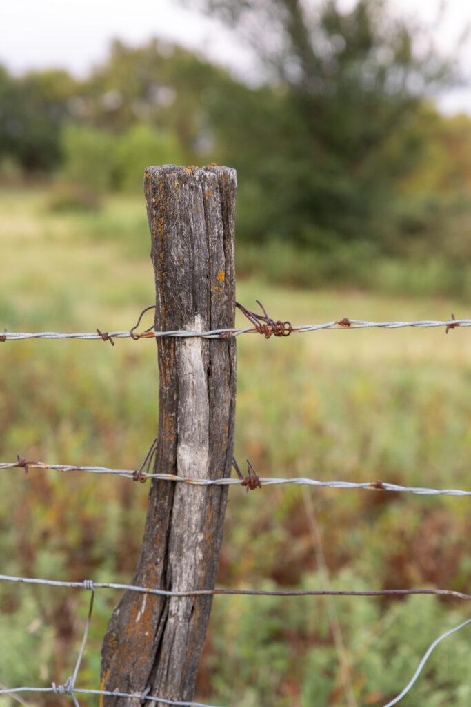 barbed wire with wood fence post