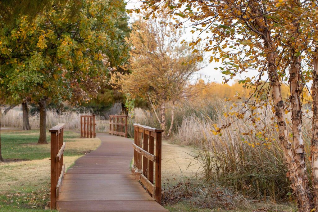fall image in park