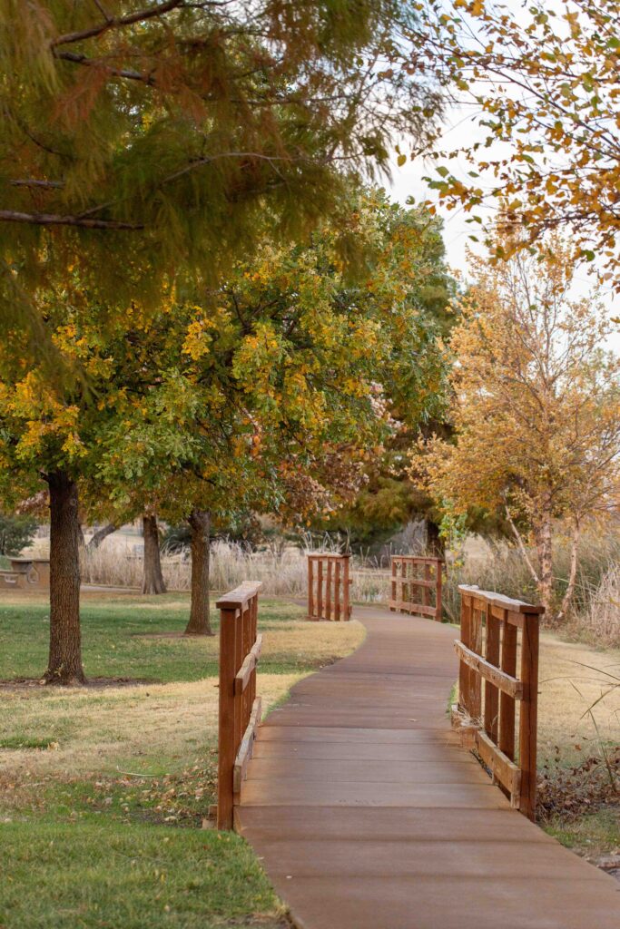 fall image in park