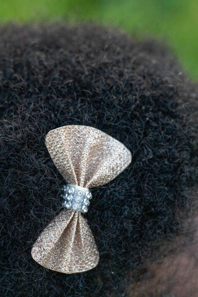 glittery hair bow